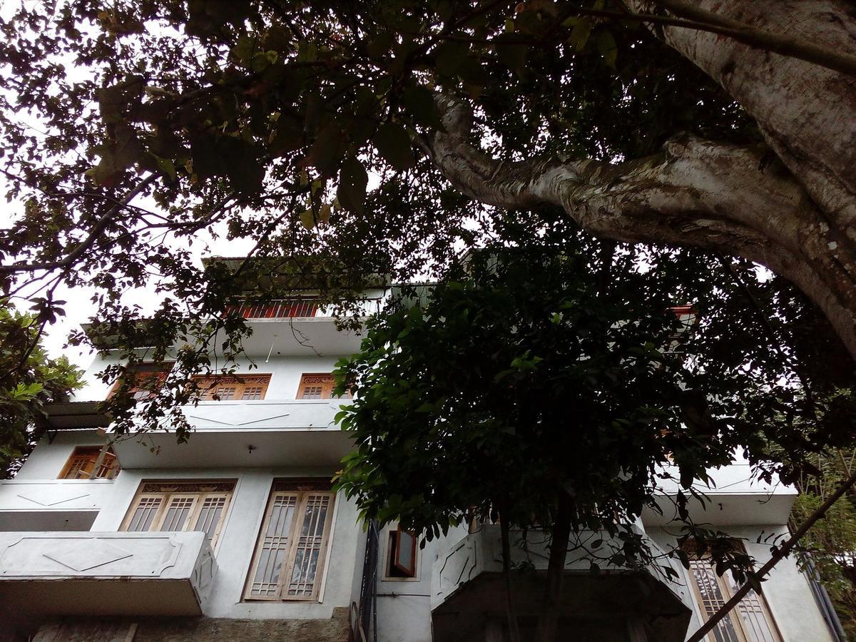 Paramount Homestay *
