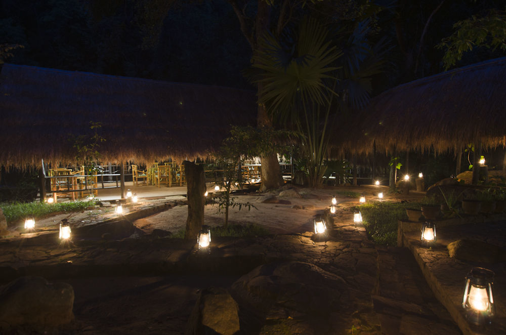 Jungle Resort