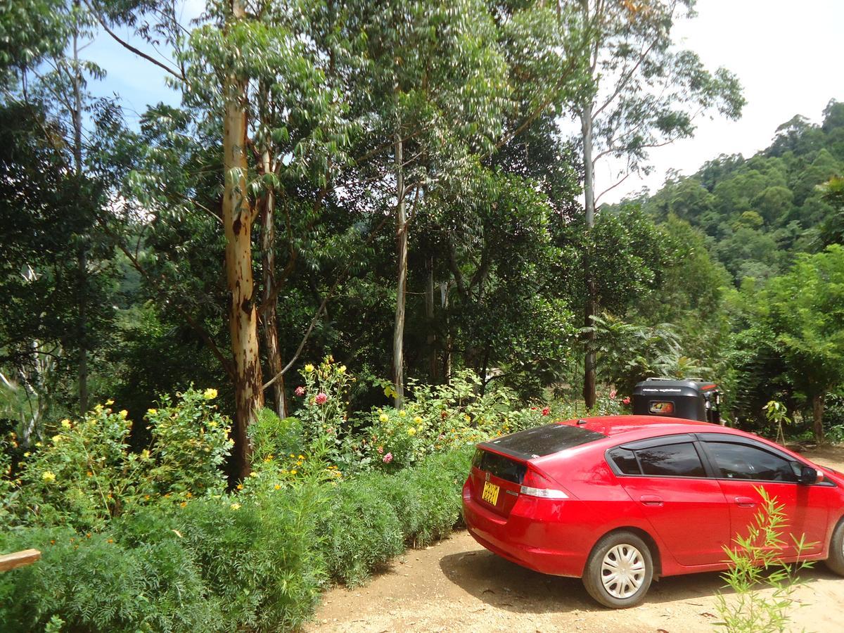 Nature's Glow And Restaurant Homestay Ella