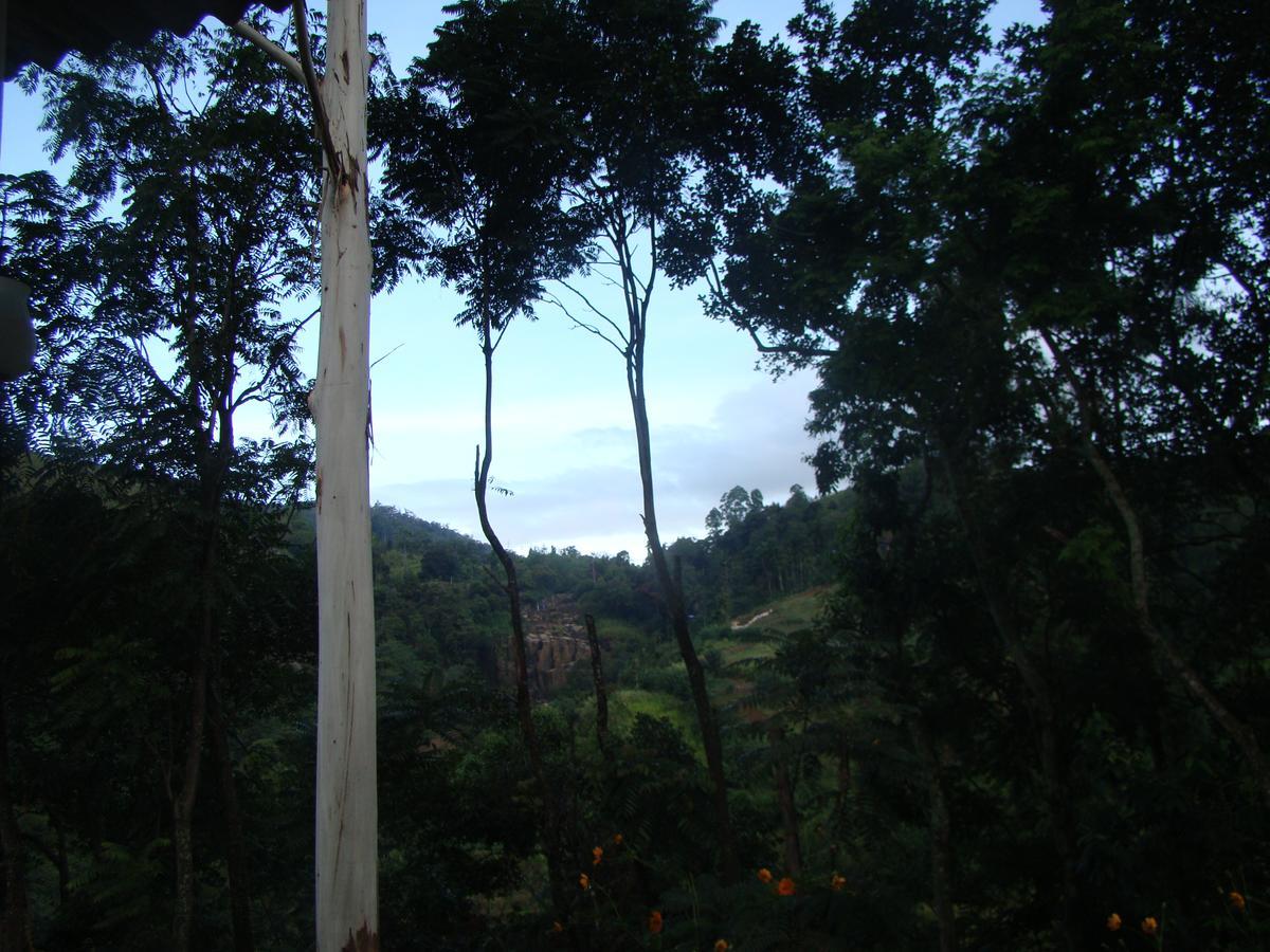 Nature's Glow And Restaurant