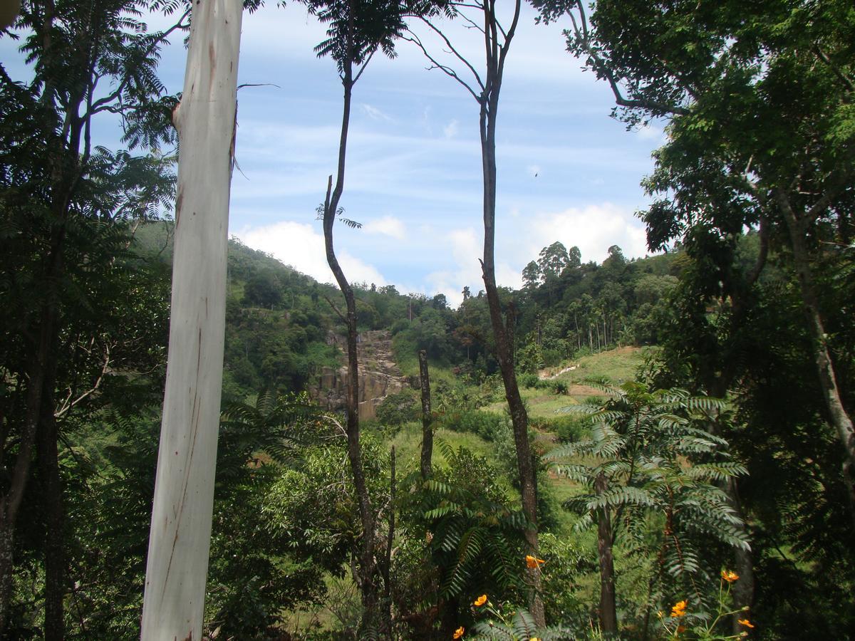 Nature's Glow And Restaurant Homestay *