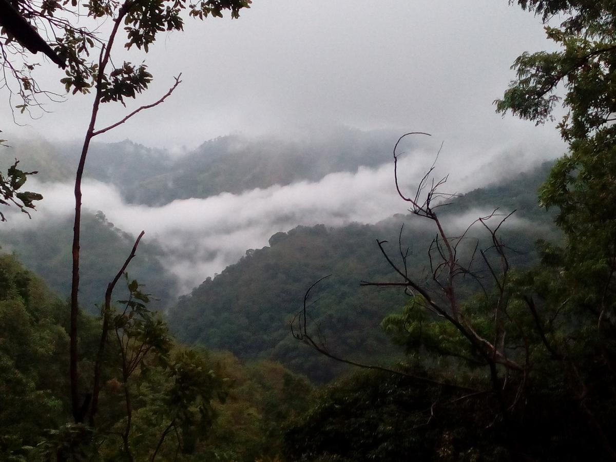Homestay Nature's Glow And Restaurant