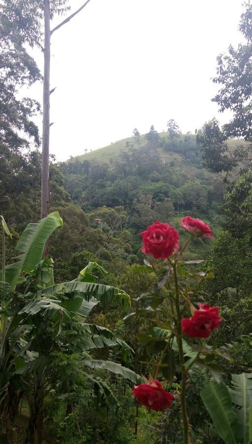 Homestay Nature's Glow And Restaurant