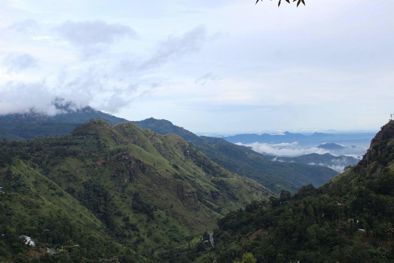 Amado Homestay