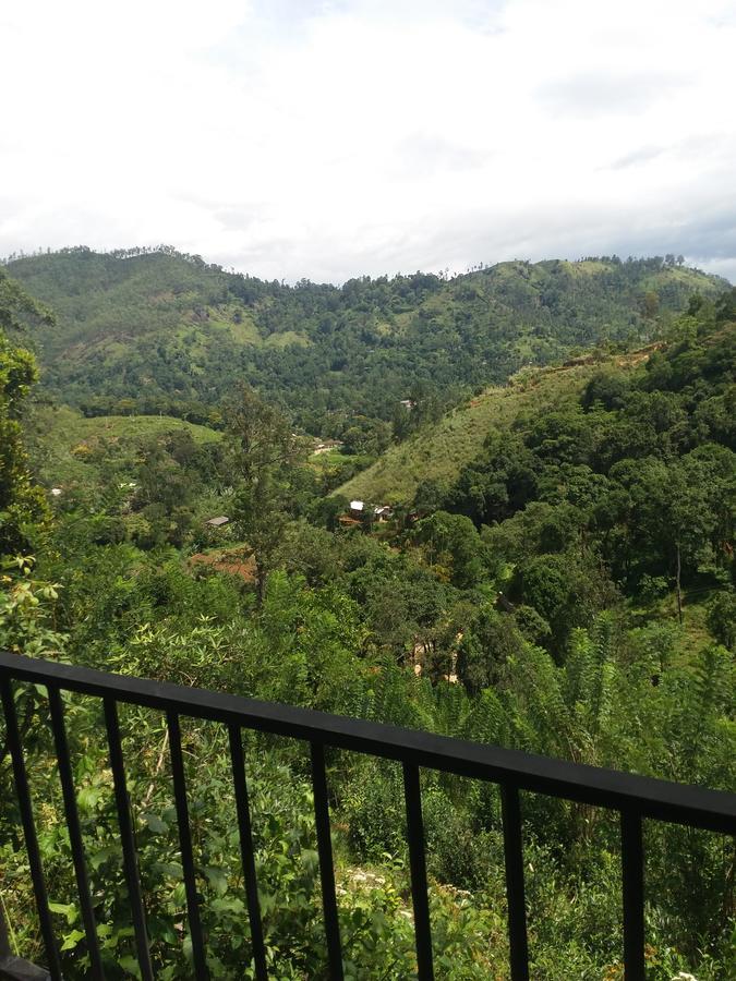 Homestay Lushy Ella