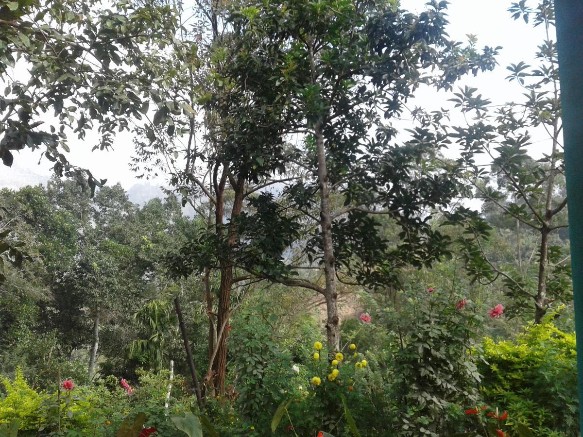 Yoho Nilmini Homestay Ella