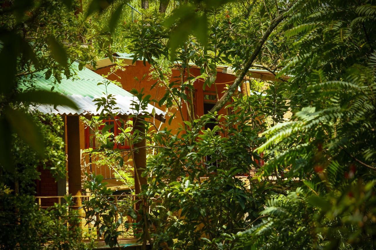 Ella Green Cottages Ella
