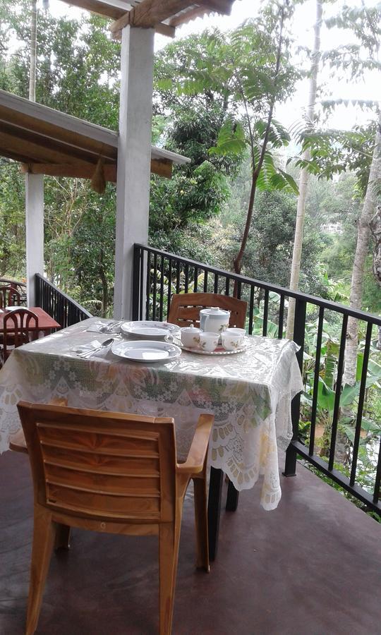 Mountain Nest Inn