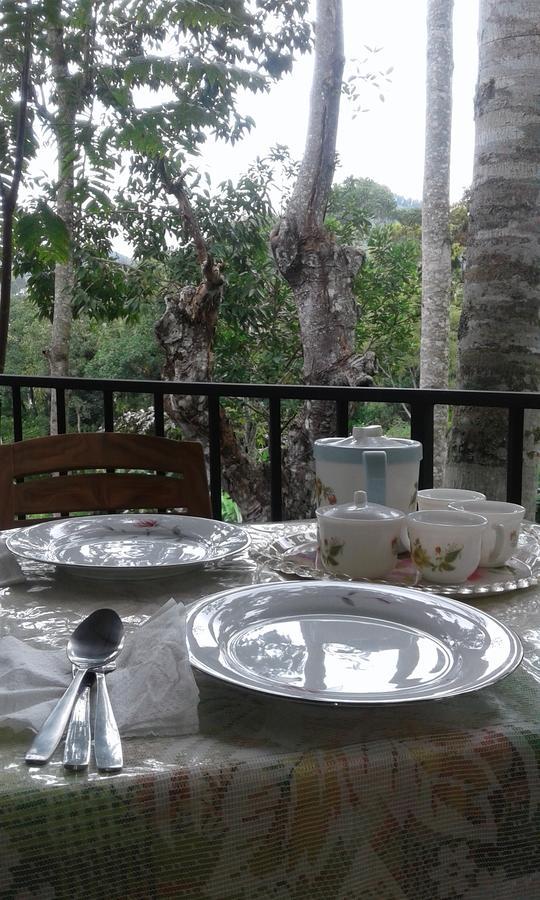 Mountain Nest Inn *