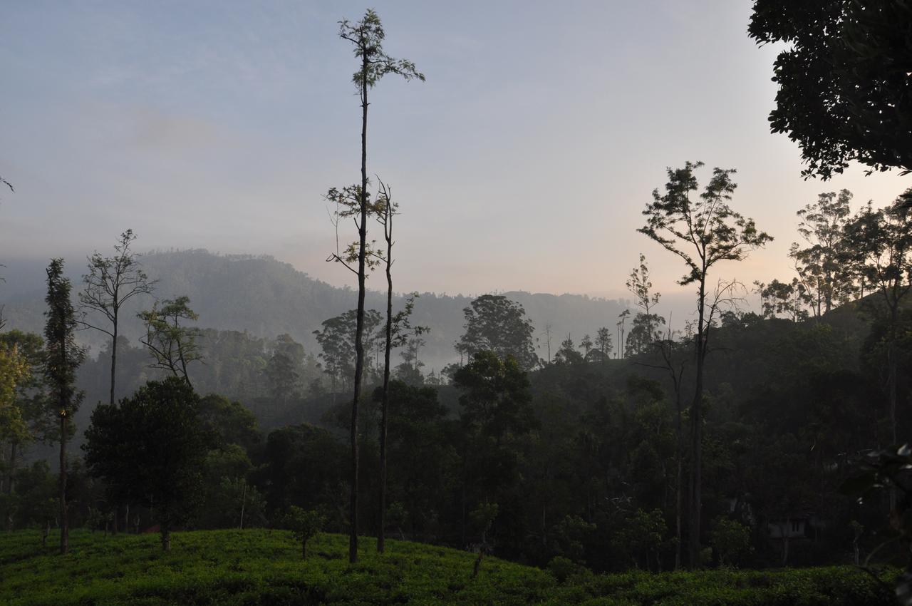 Sunnyside - Tea Plantation Bungalow Lodge