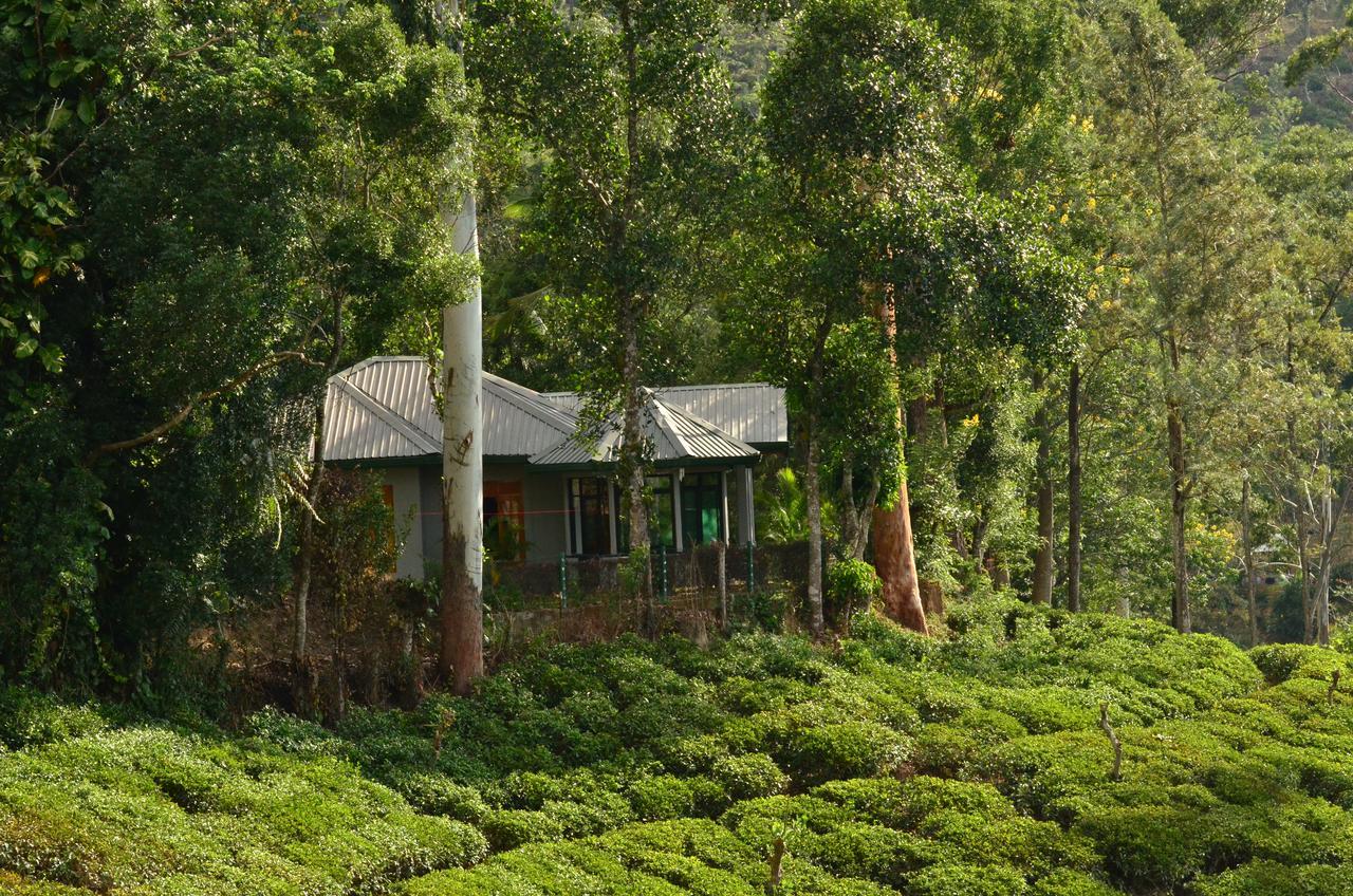 Sunnyside - Tea Plantation Bungalow Ella