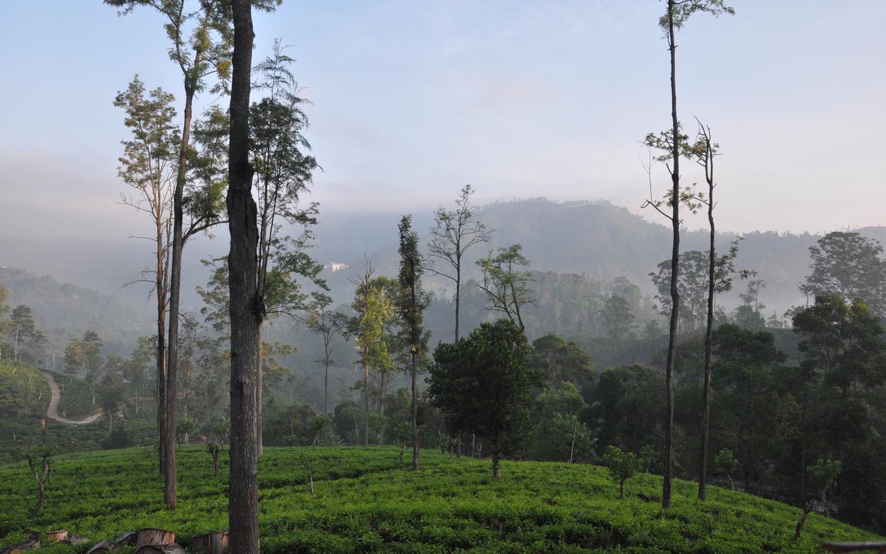 Sunnyside - Tea Plantation Bungalow Ella