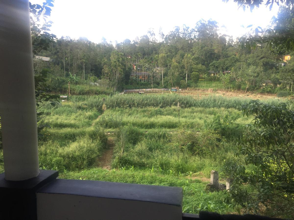 Orchid Homestay *
