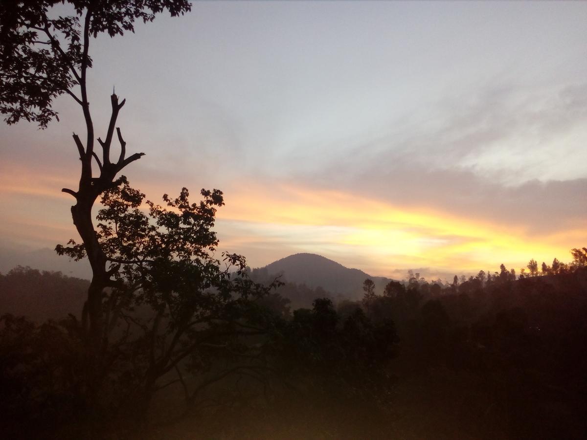 Paramount Homestay
