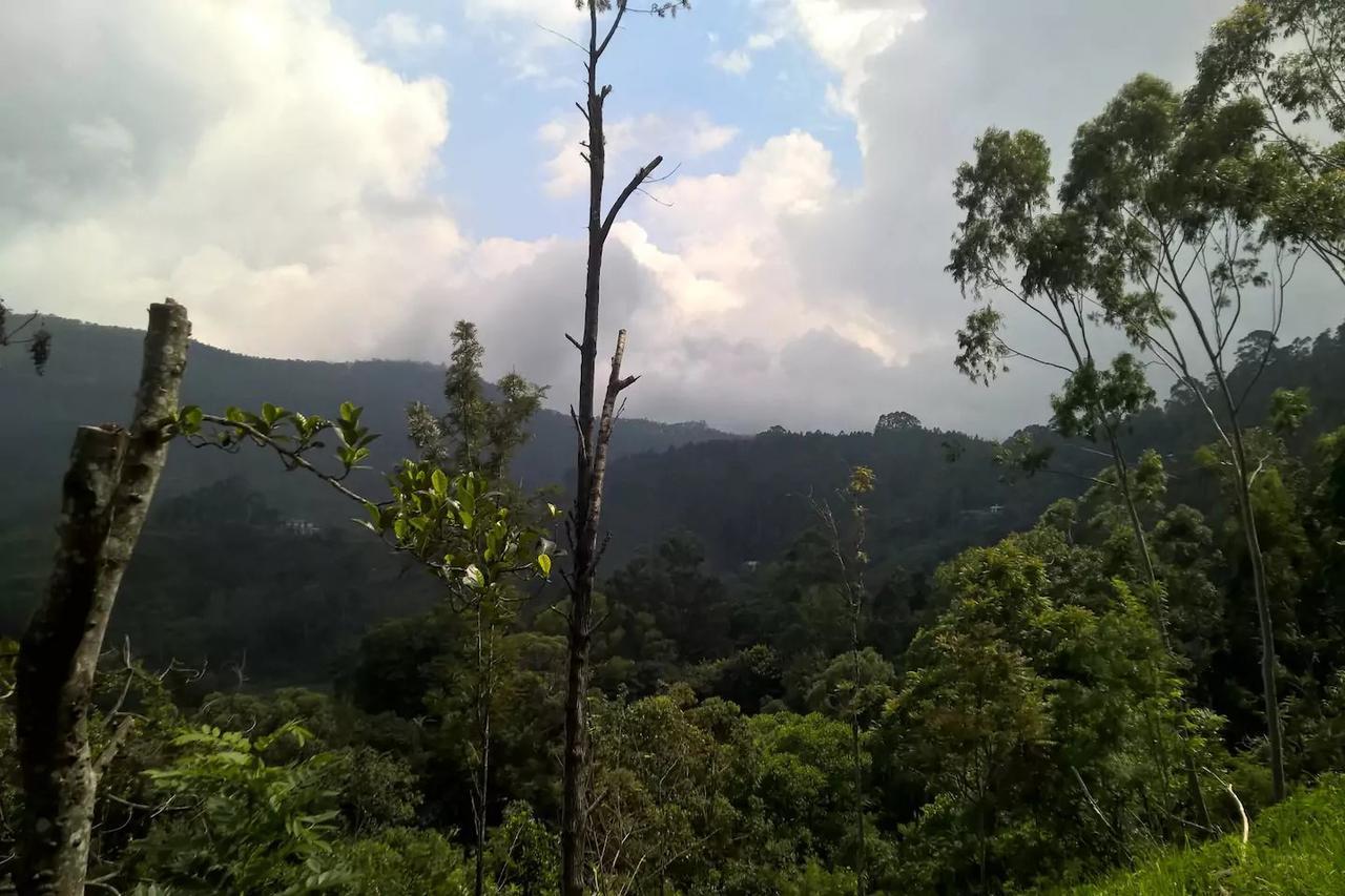 Solitary Homestay Ella