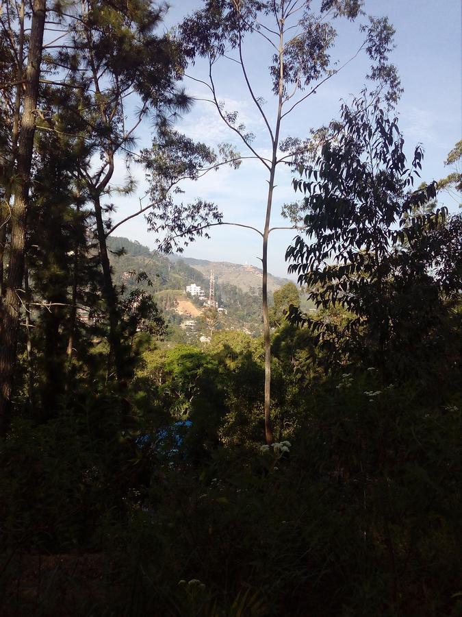 Homestay Hidden Hill