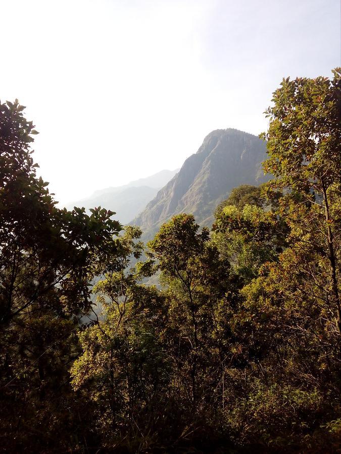 Homestay Hidden Hill