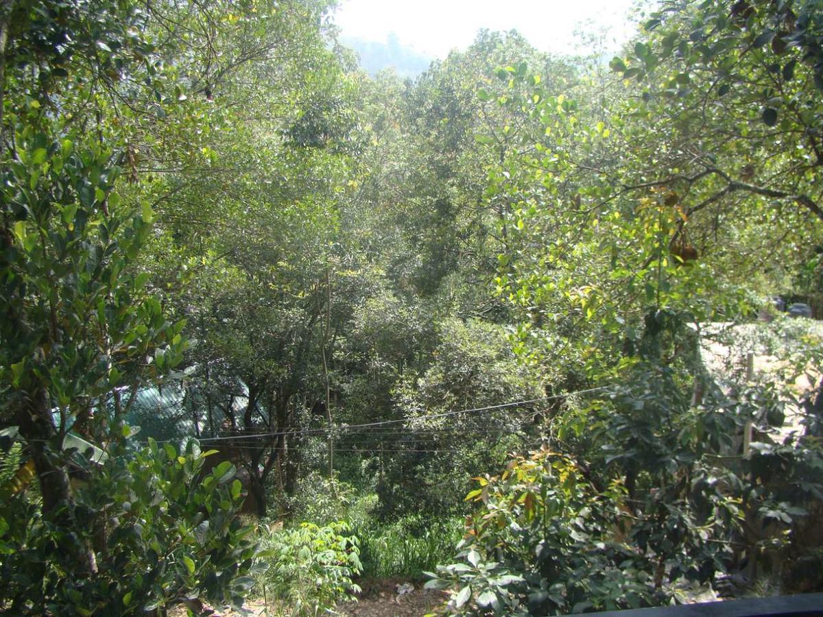 Udessa Rest