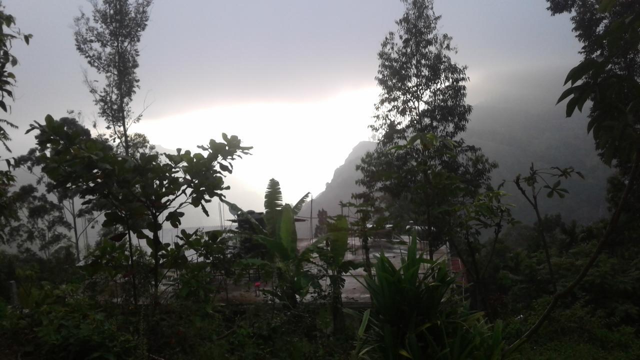 Malithis *
