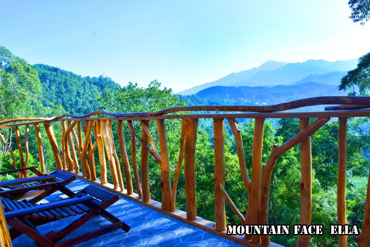 Inn Mountain Face *