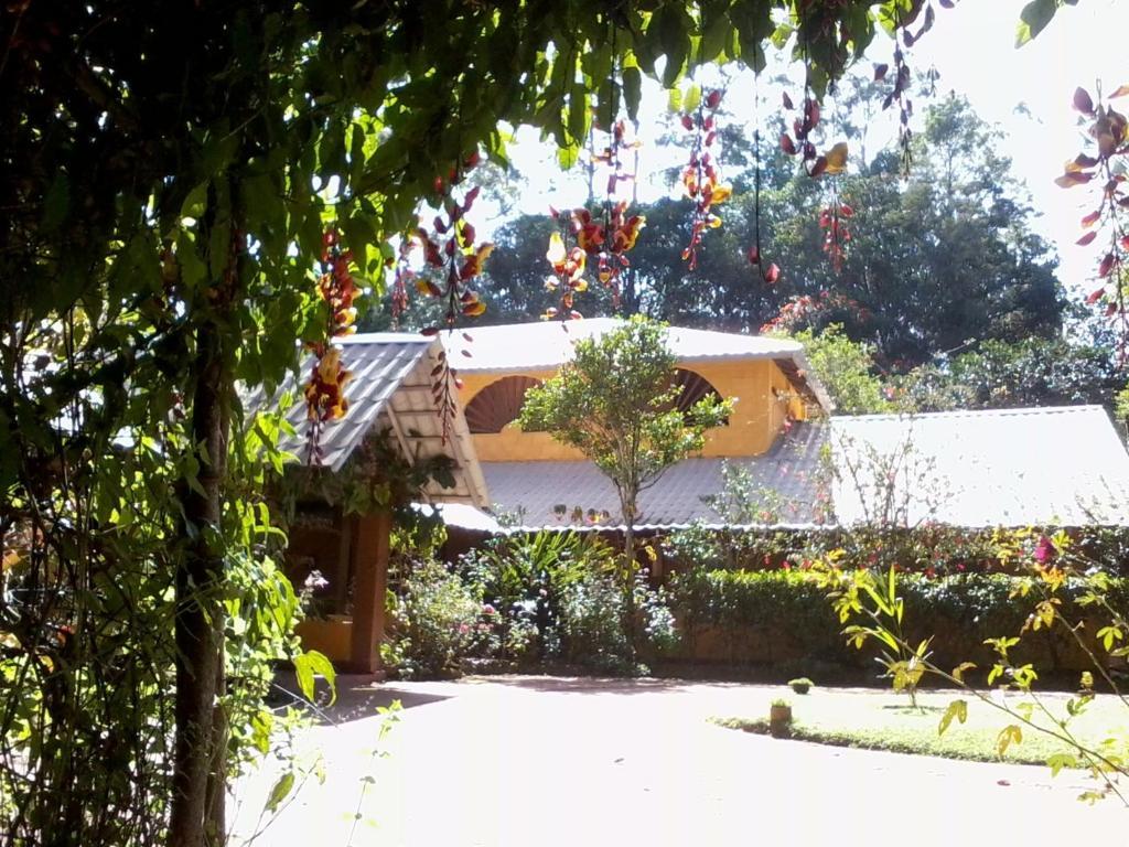 Sunnyside * Ella