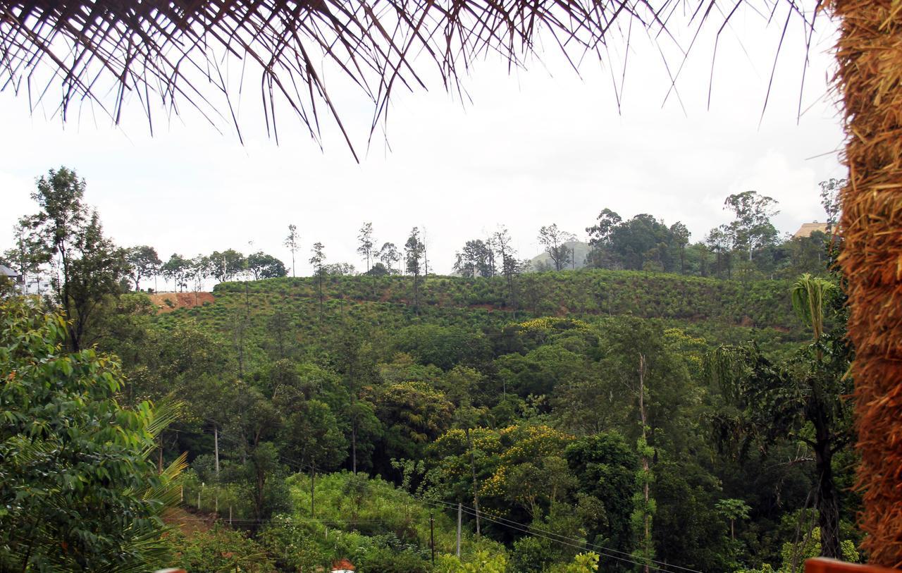 Bed & Breakfast Sisila View 3*