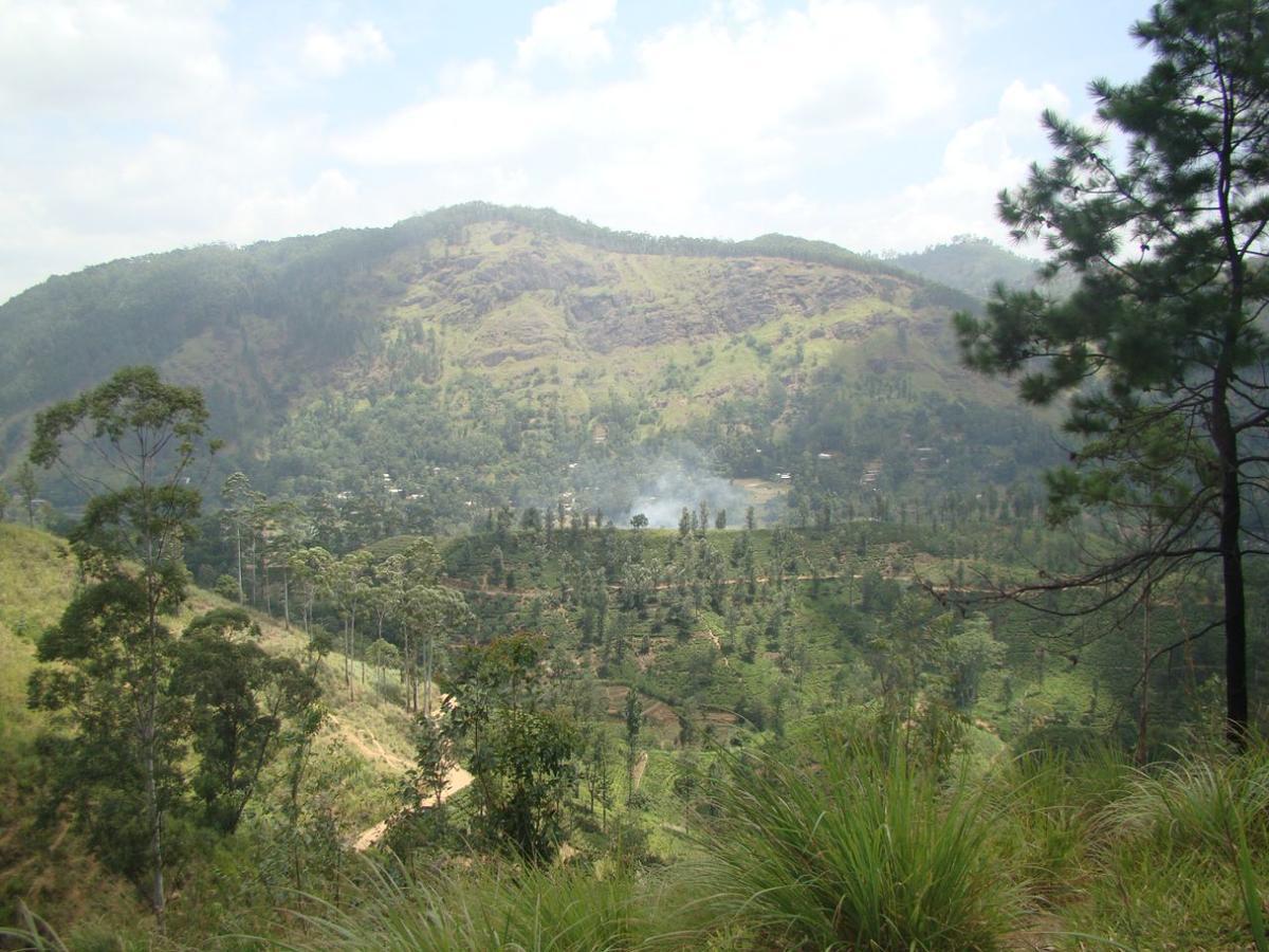 Upper Hill Ella