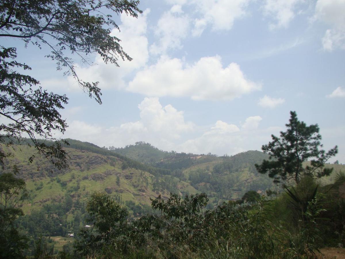 Upper Hill Bed & Breakfast