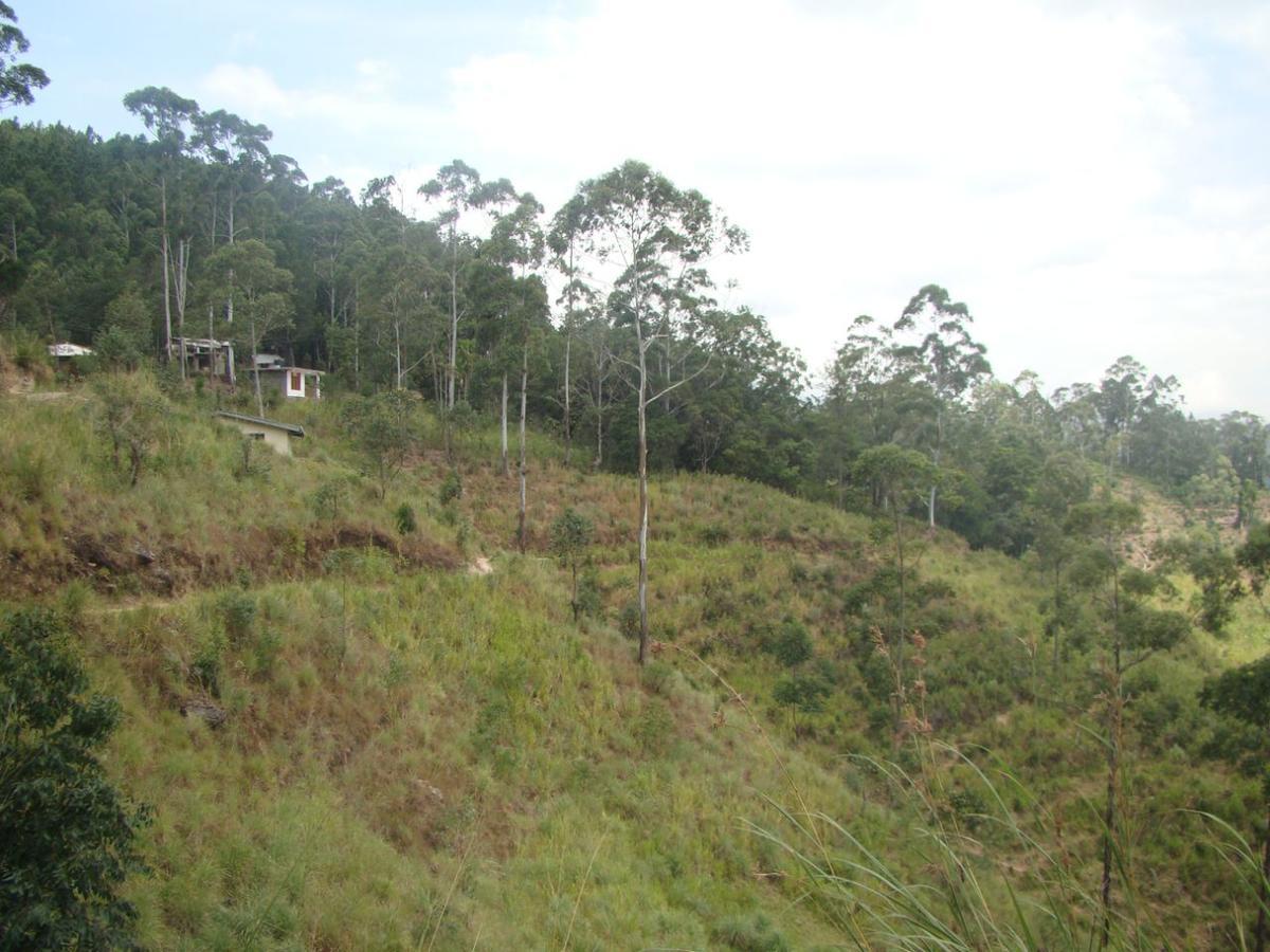 Upper Hill Ella