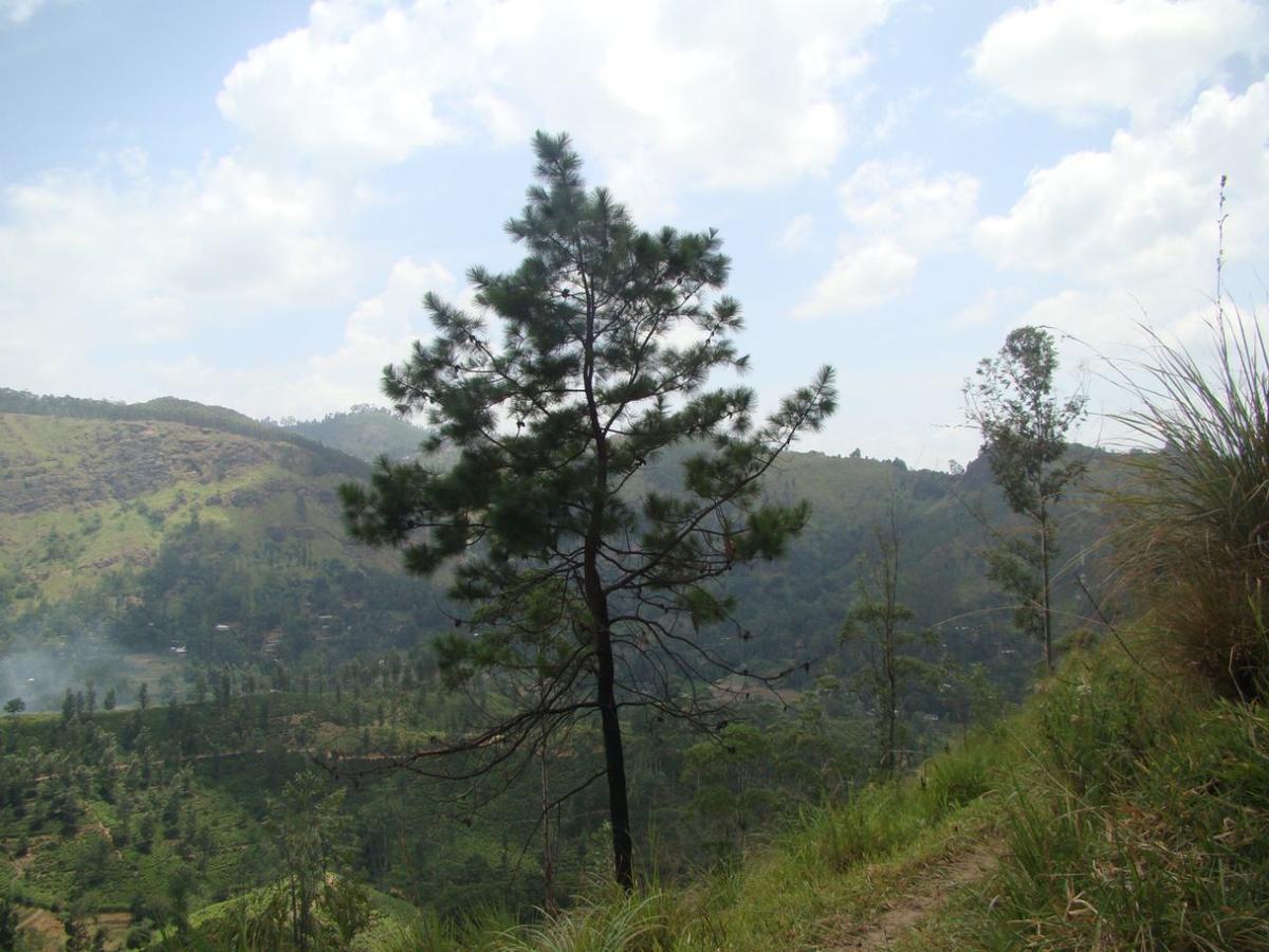 Upper Hill Bed & Breakfast