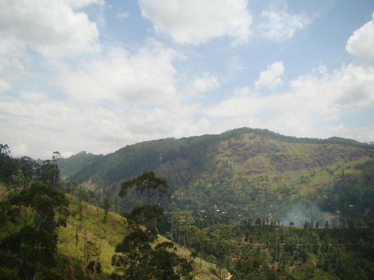 Upper Hill Bed & Breakfast