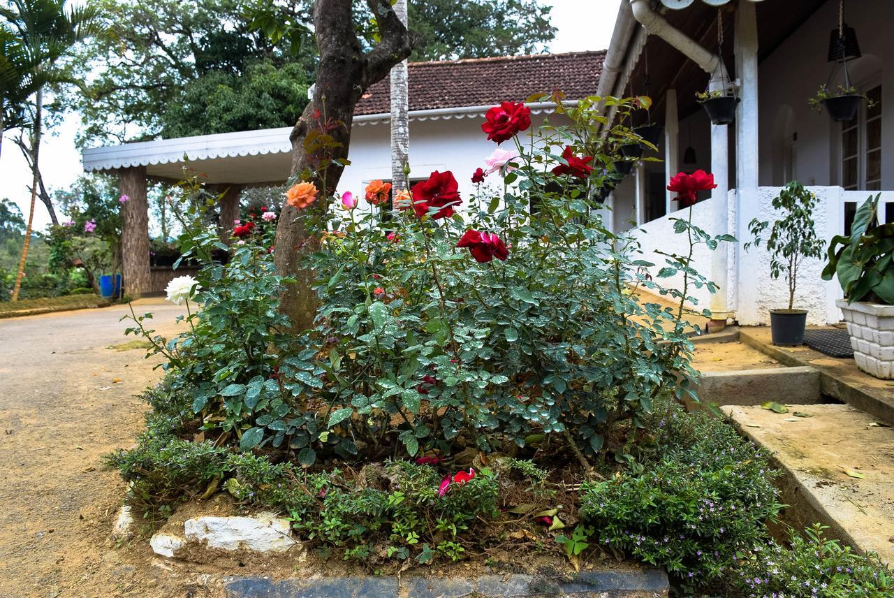 Hotel Rest House Bandarawela Ella