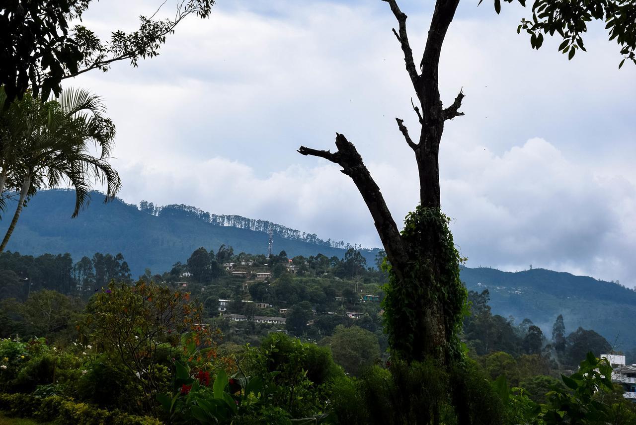 Rest House Bandarawela Hotel