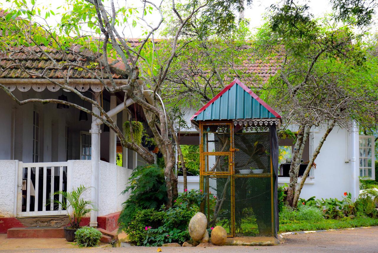Hotel Rest House Bandarawela Ella
