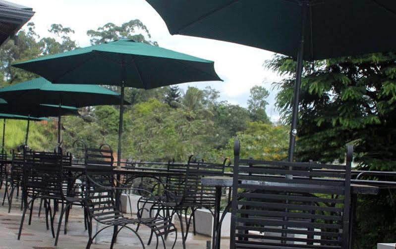 Oak Ray Gap Hotel 3*