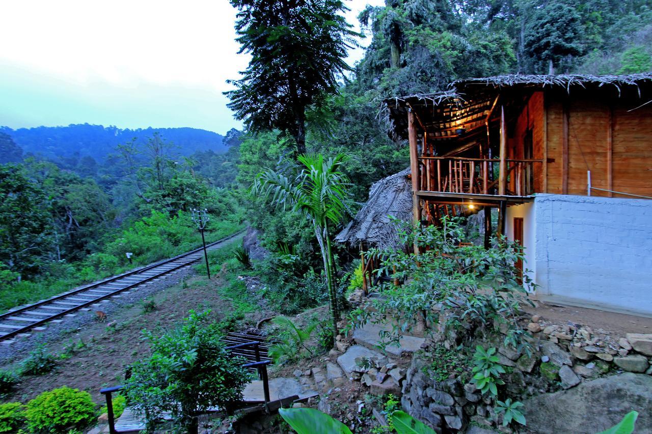 Bamboo 3* Ella