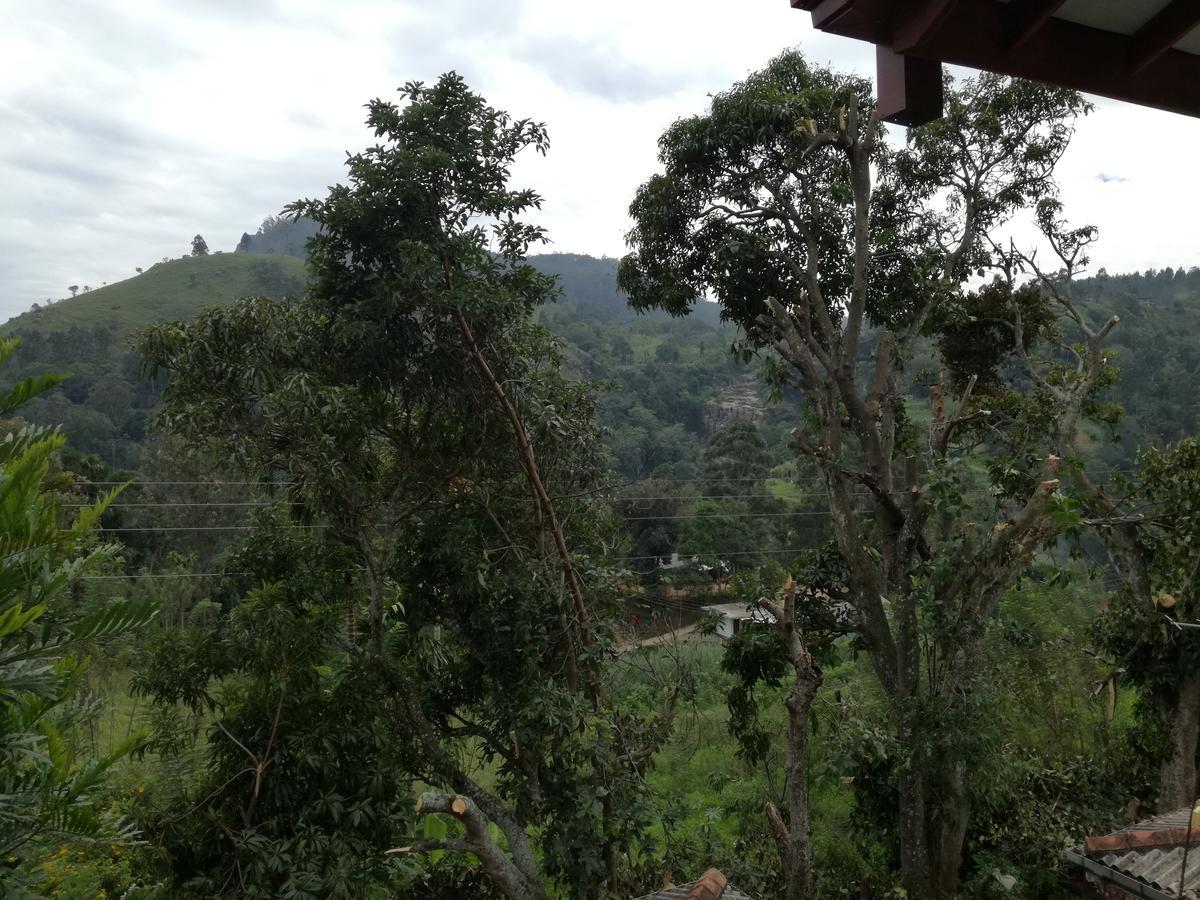 Bed & Breakfast Bamboo 3*