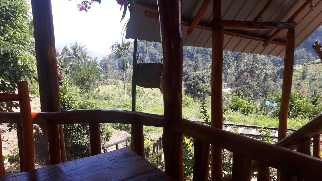 Bamboo 3* Ella
