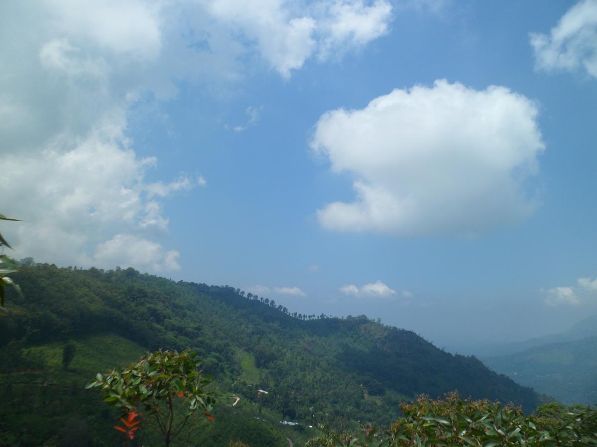 Resort Dew Drop *