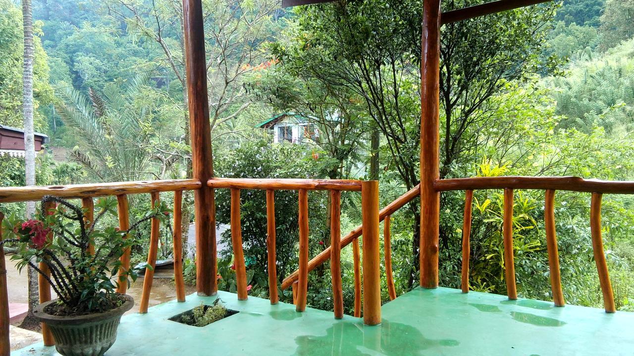 Bed & Breakfast Serenity *