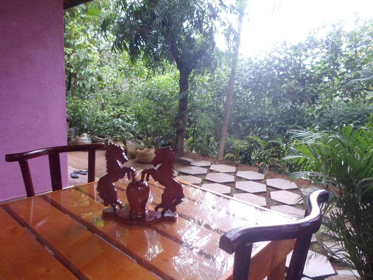 Homestay Sky Garden *