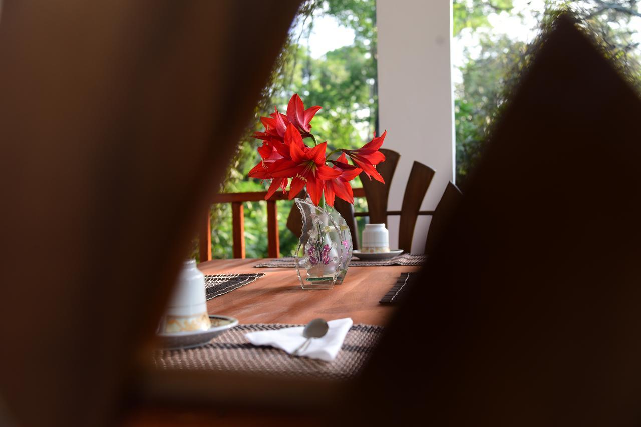 Guest house Eco Diamond Palace