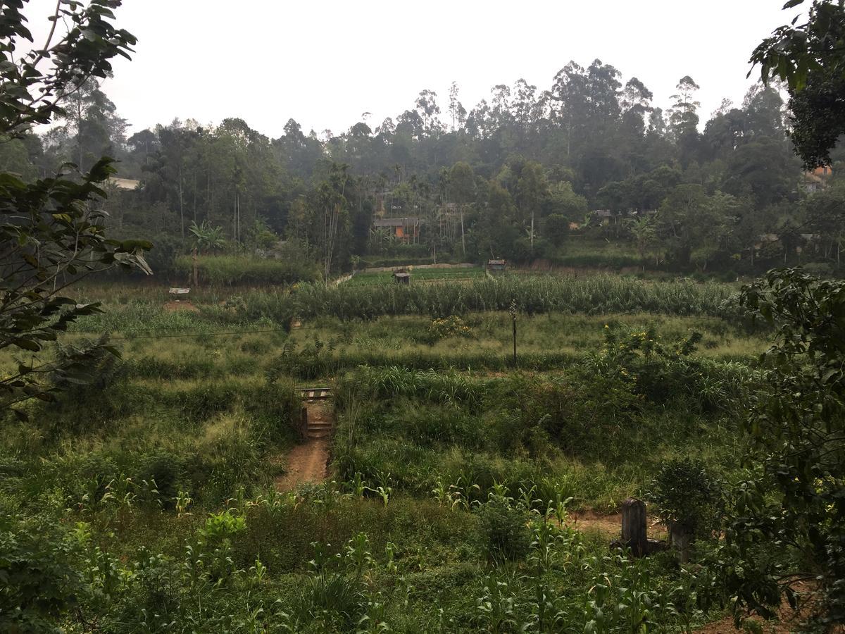 Homestay Orchid Ella