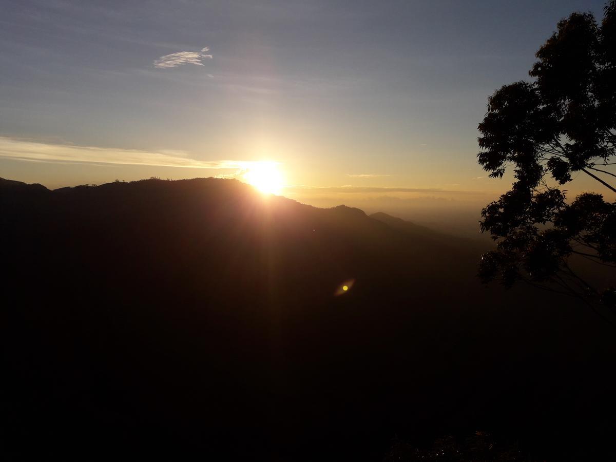 Infinity View