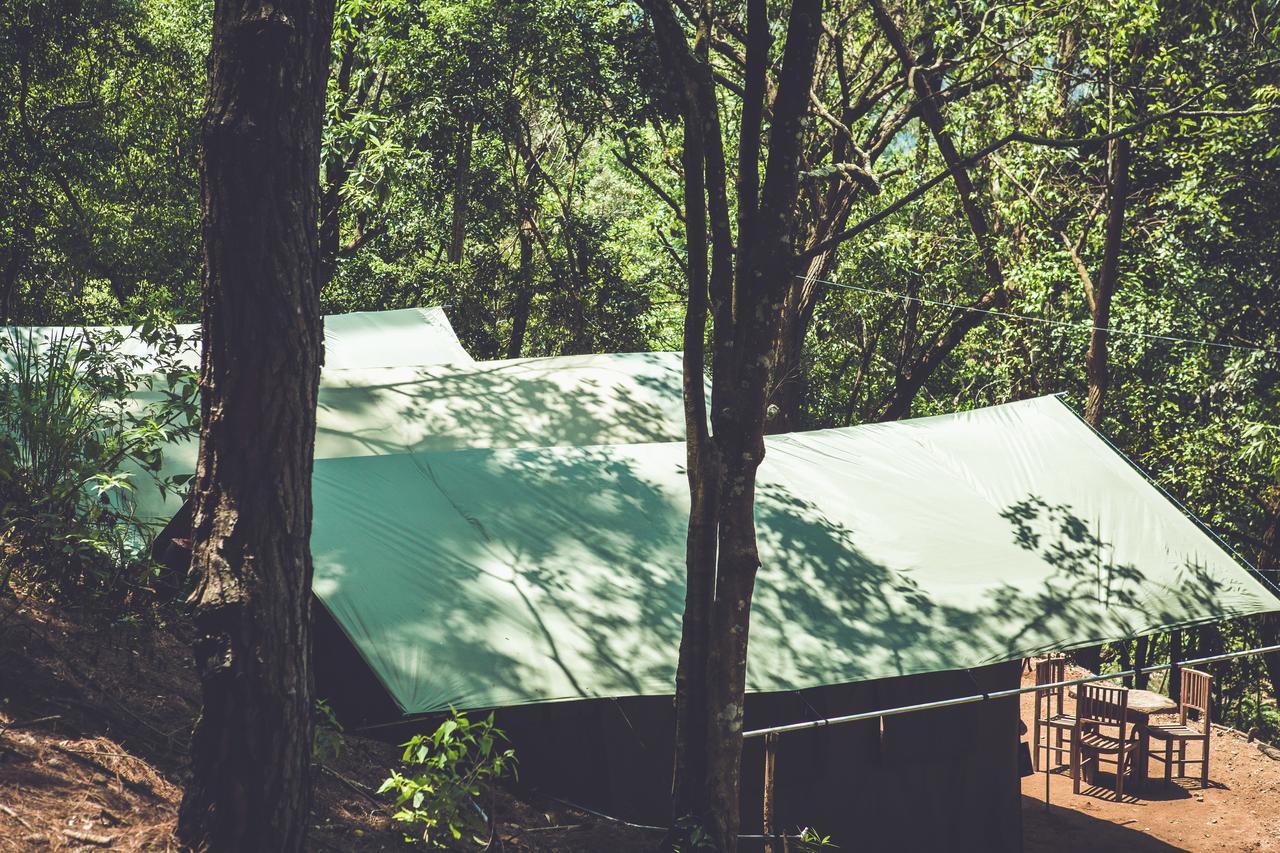 Glamping Ella