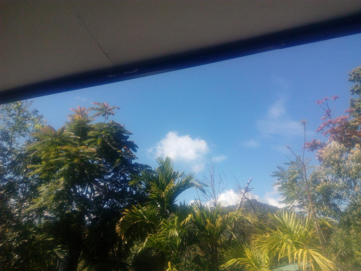 Hotel Summer Ambagolla