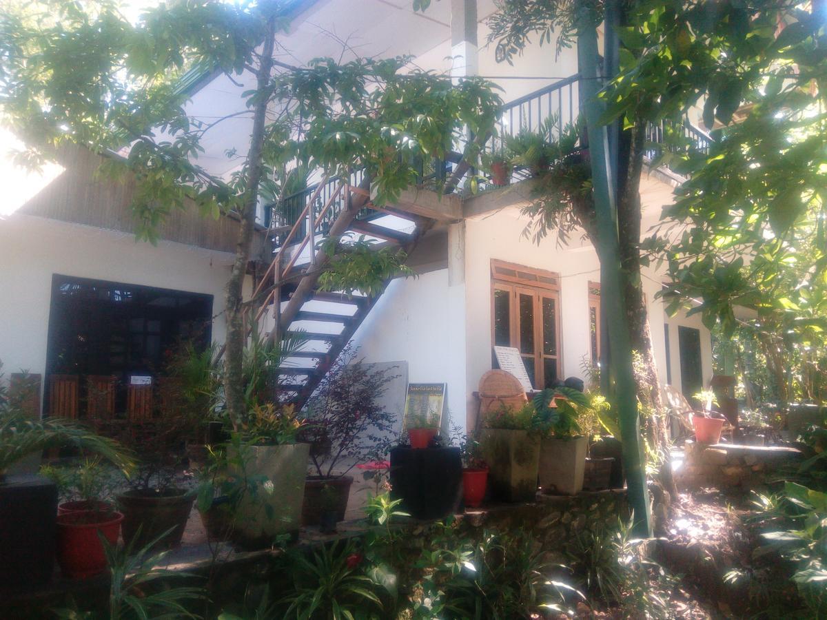 Summer Ambagolla 2*