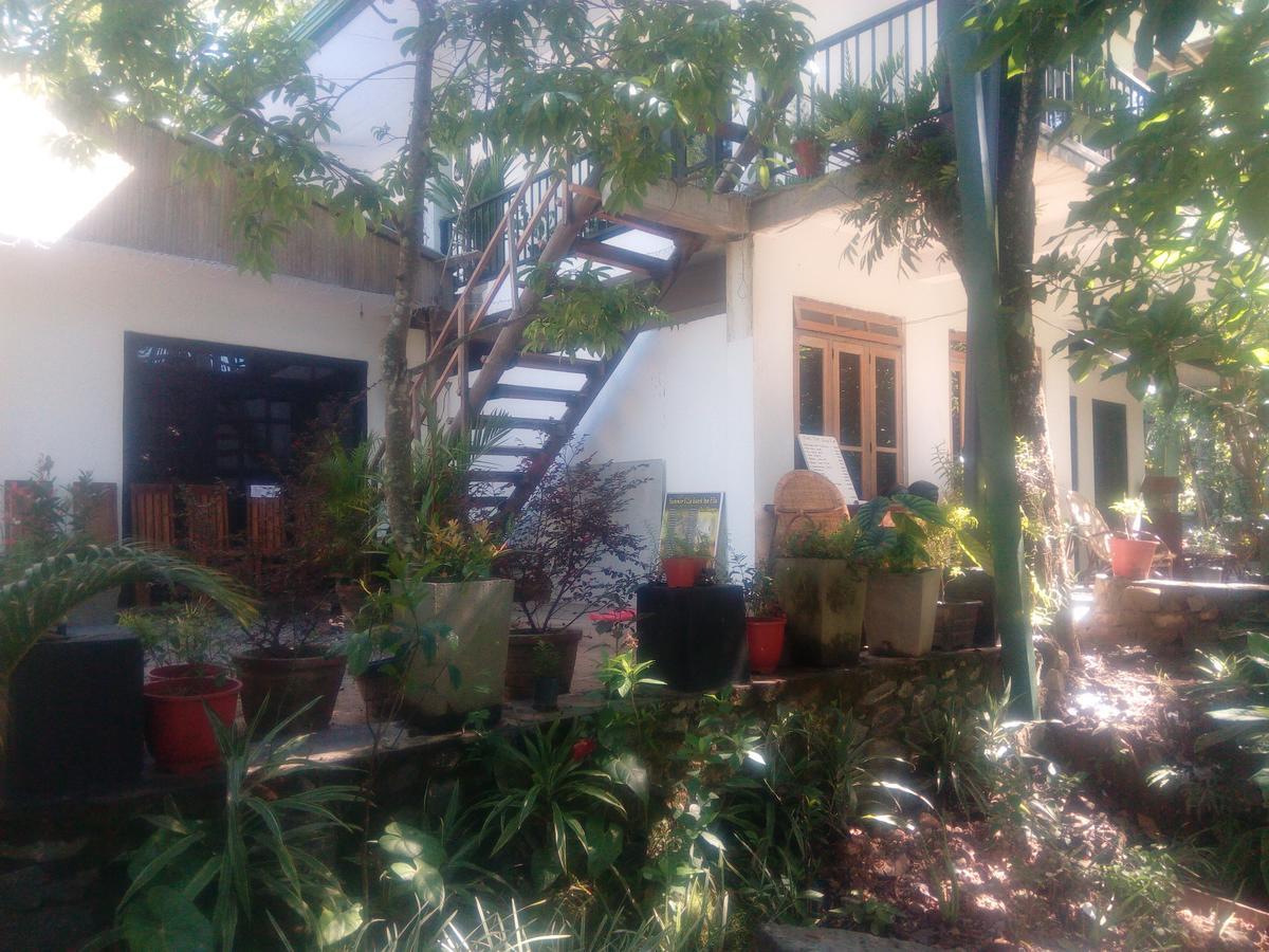 Summer Ambagolla Hotel