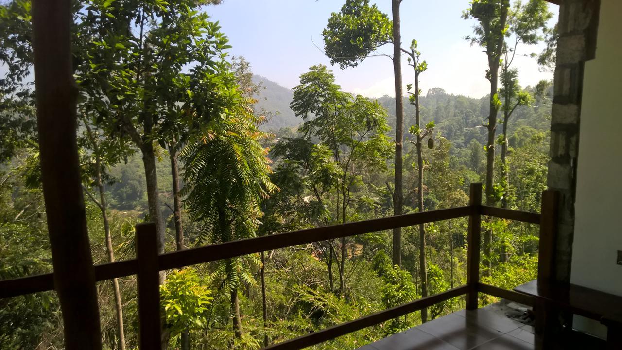 Solitary Homestay *