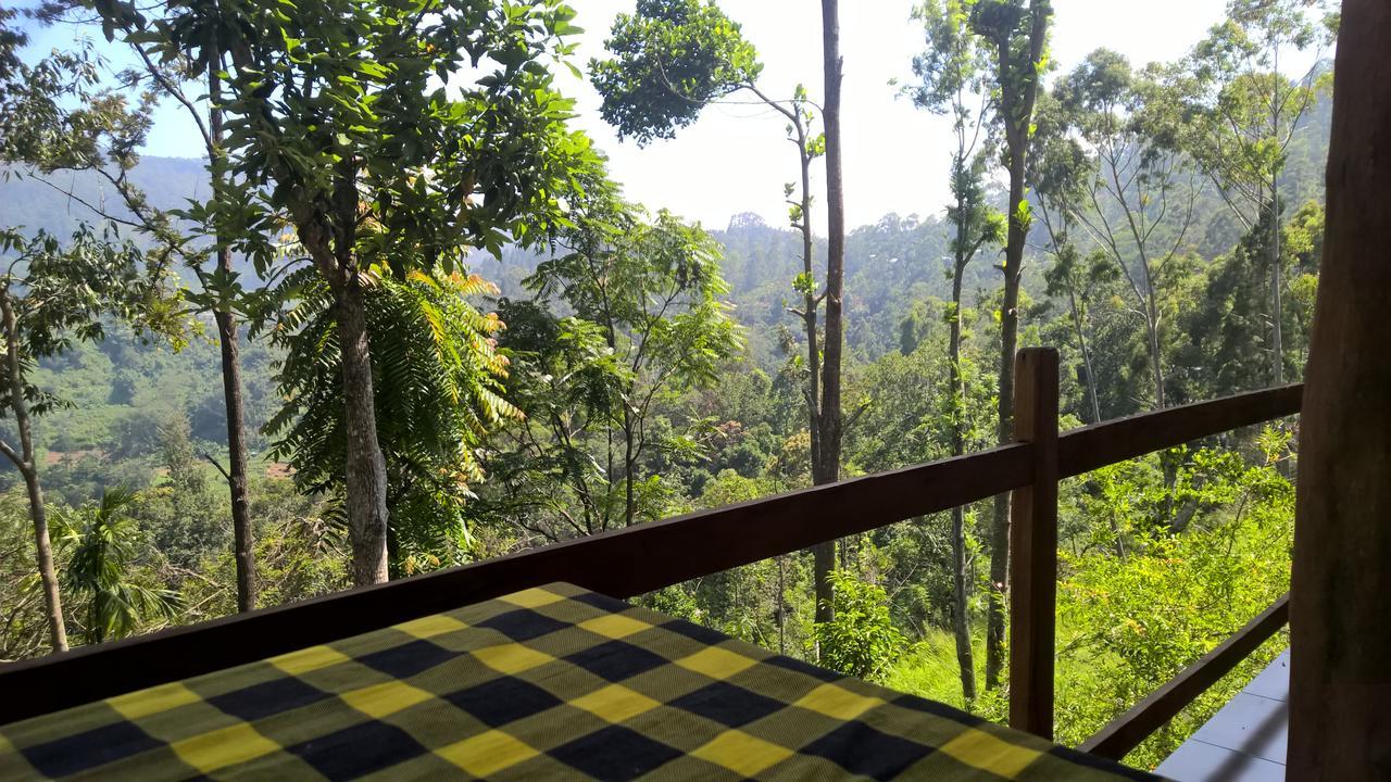 Homestay Solitary *